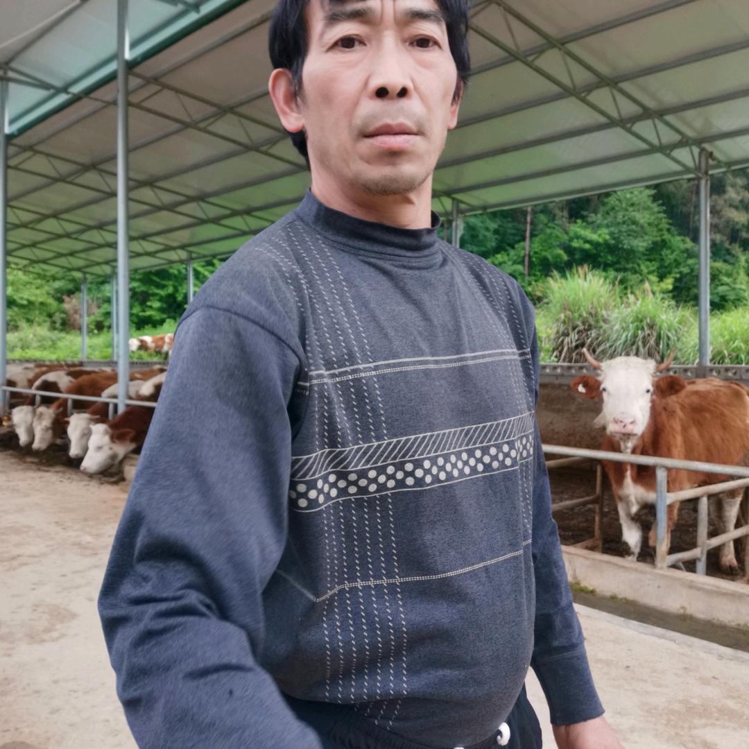 我是湘西吉首市保靖县的人