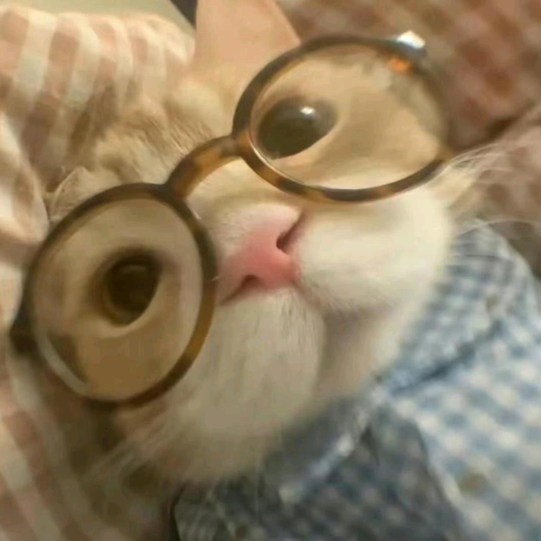 𝐒𝐴𝐍𝐉𝐈𝐴𝐸𝐑