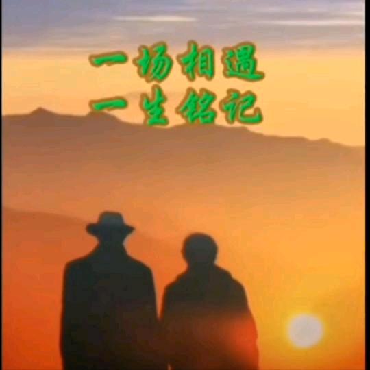 护玲安澜