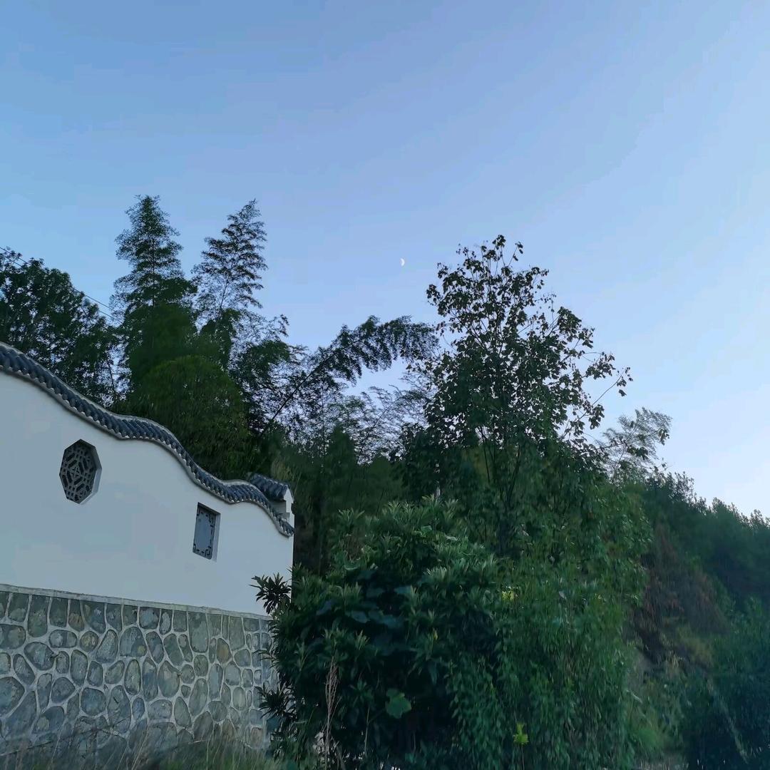 义游(国学心理疗愈)