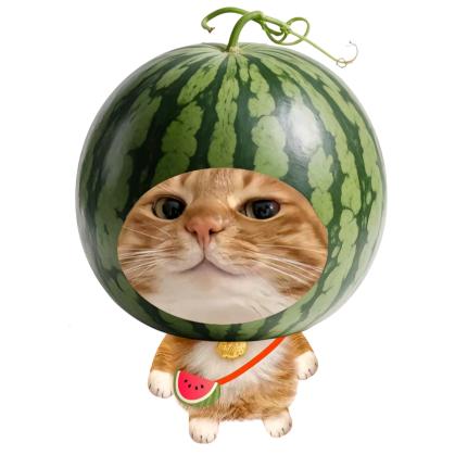 🍉