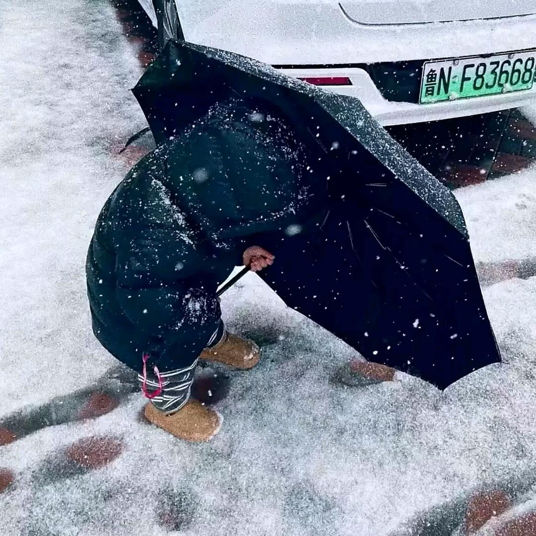 掉落的思念