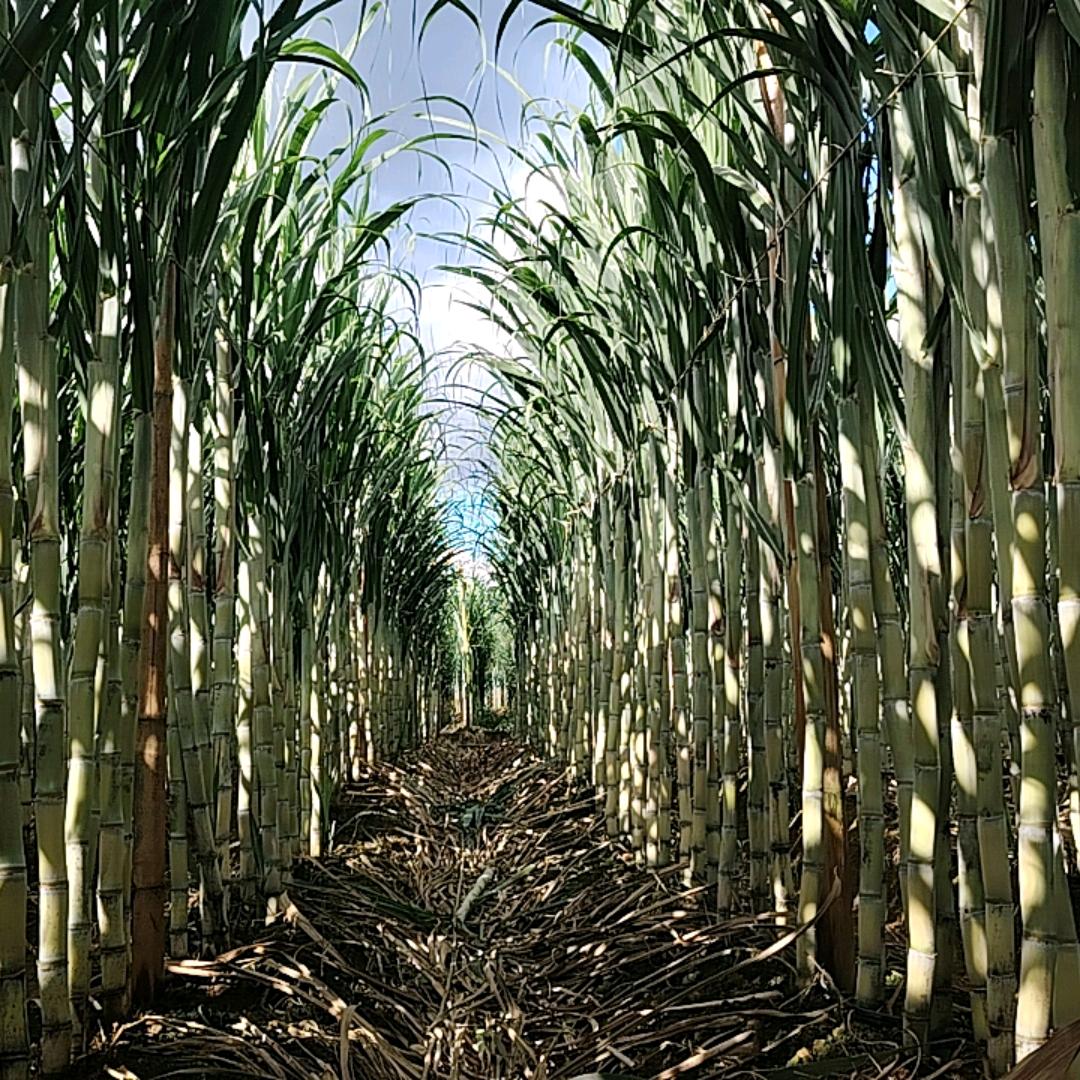 余生爱自己