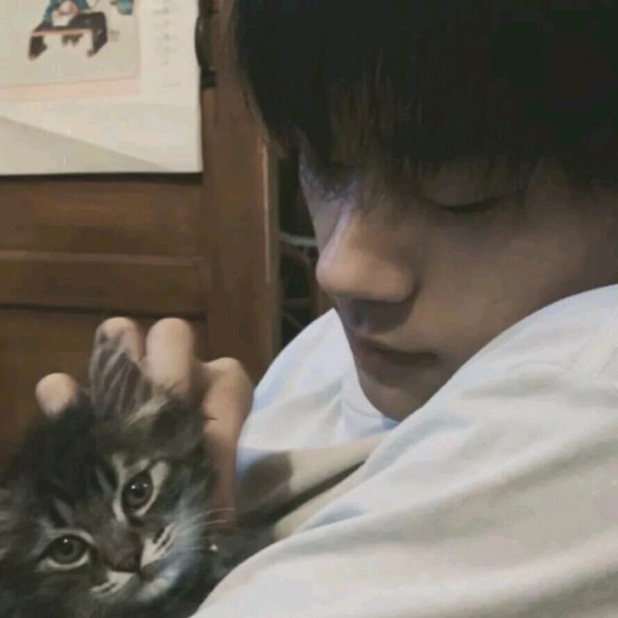 糖炒板栗真好吃