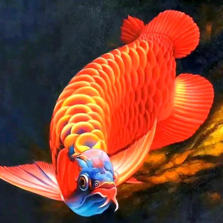 人非圣贤