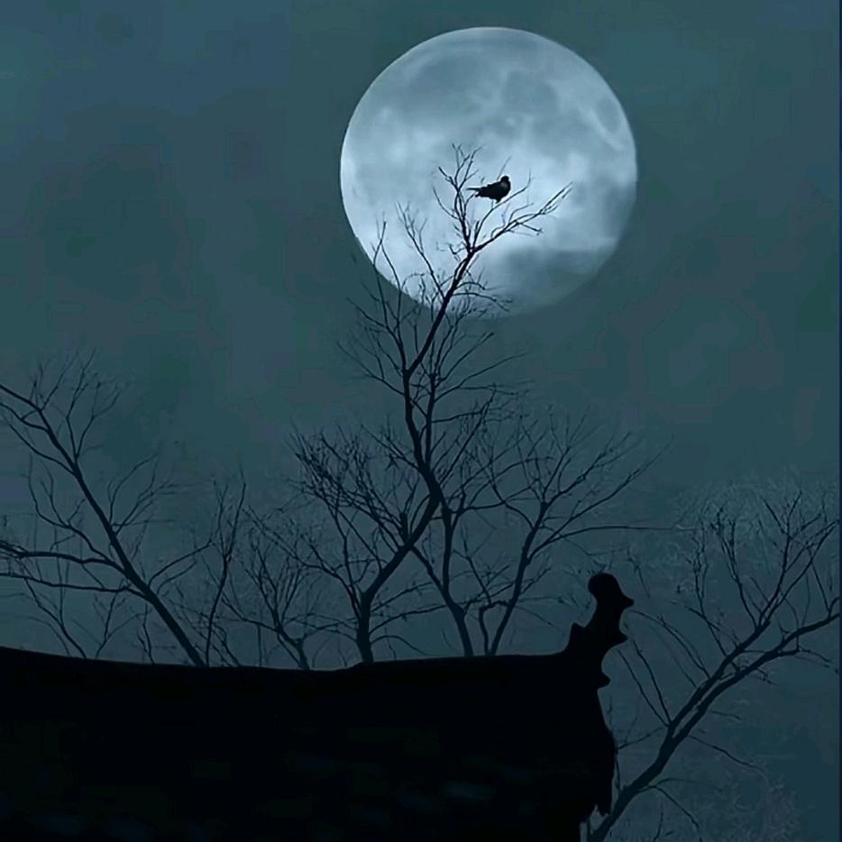 @ 浙北一号o▬▬☯▅▆▇◤