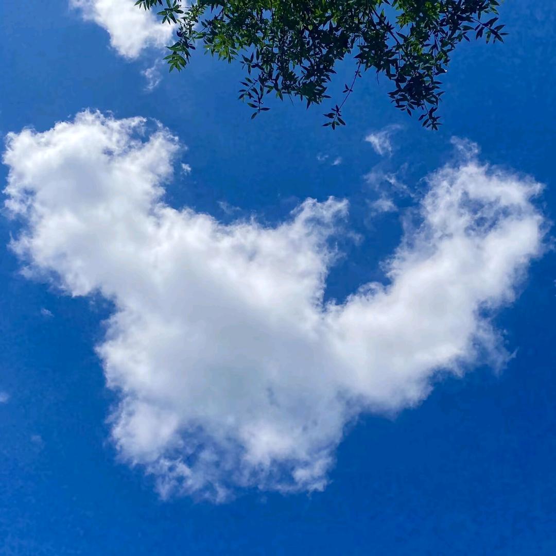 ❣️峰超爱硕博儿💏