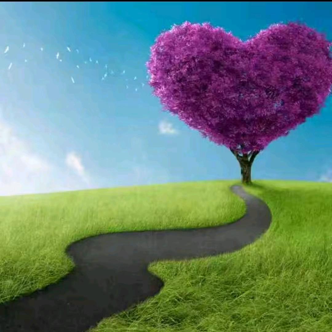💞꧔ꦿ᭄太阳💕 ❧⁵²⁰