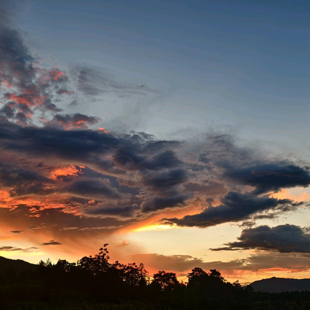 荷花🐉🎁（恭喜发财版）🧧