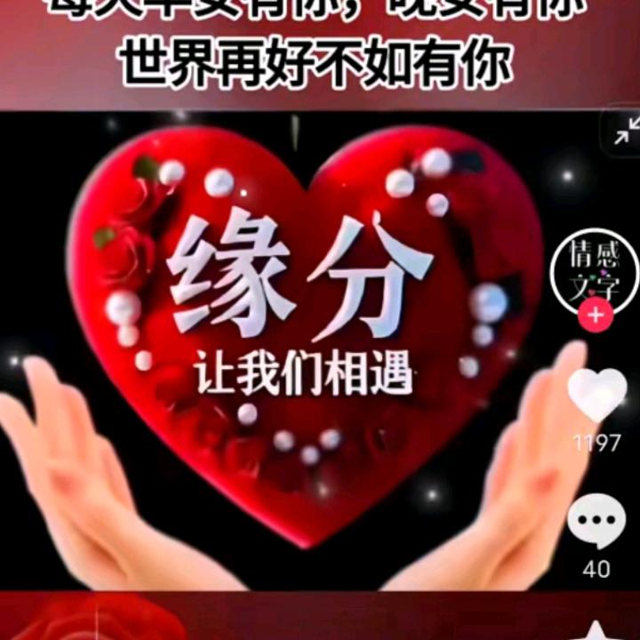 胡哥护工