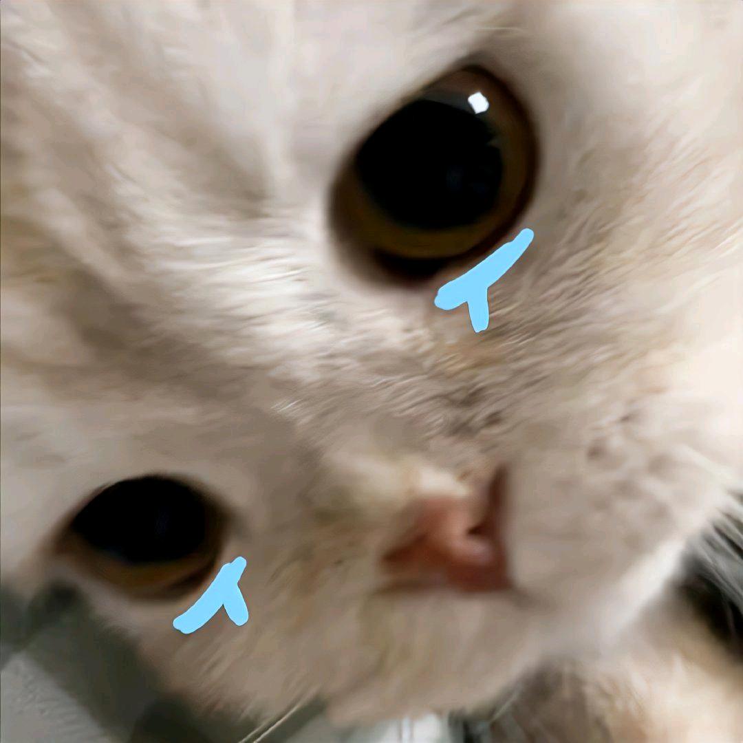 吃啥呢求你给我也吃一口