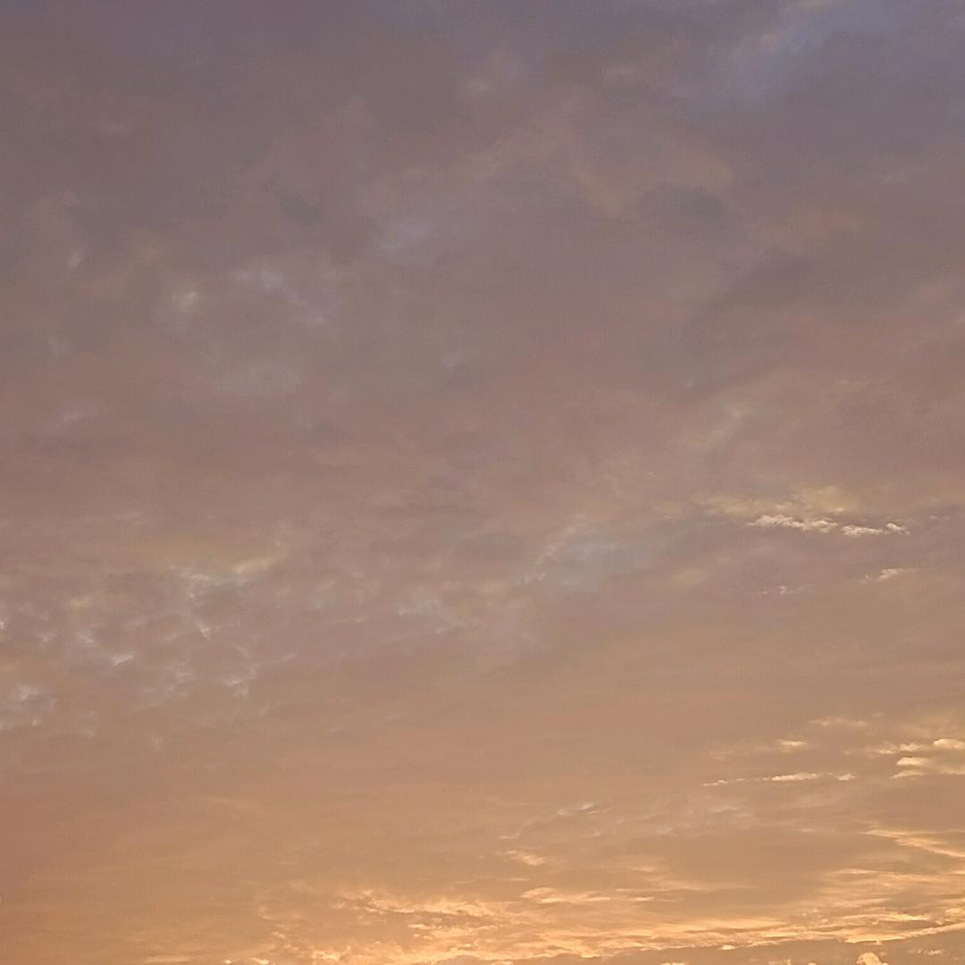 空白代码注册号