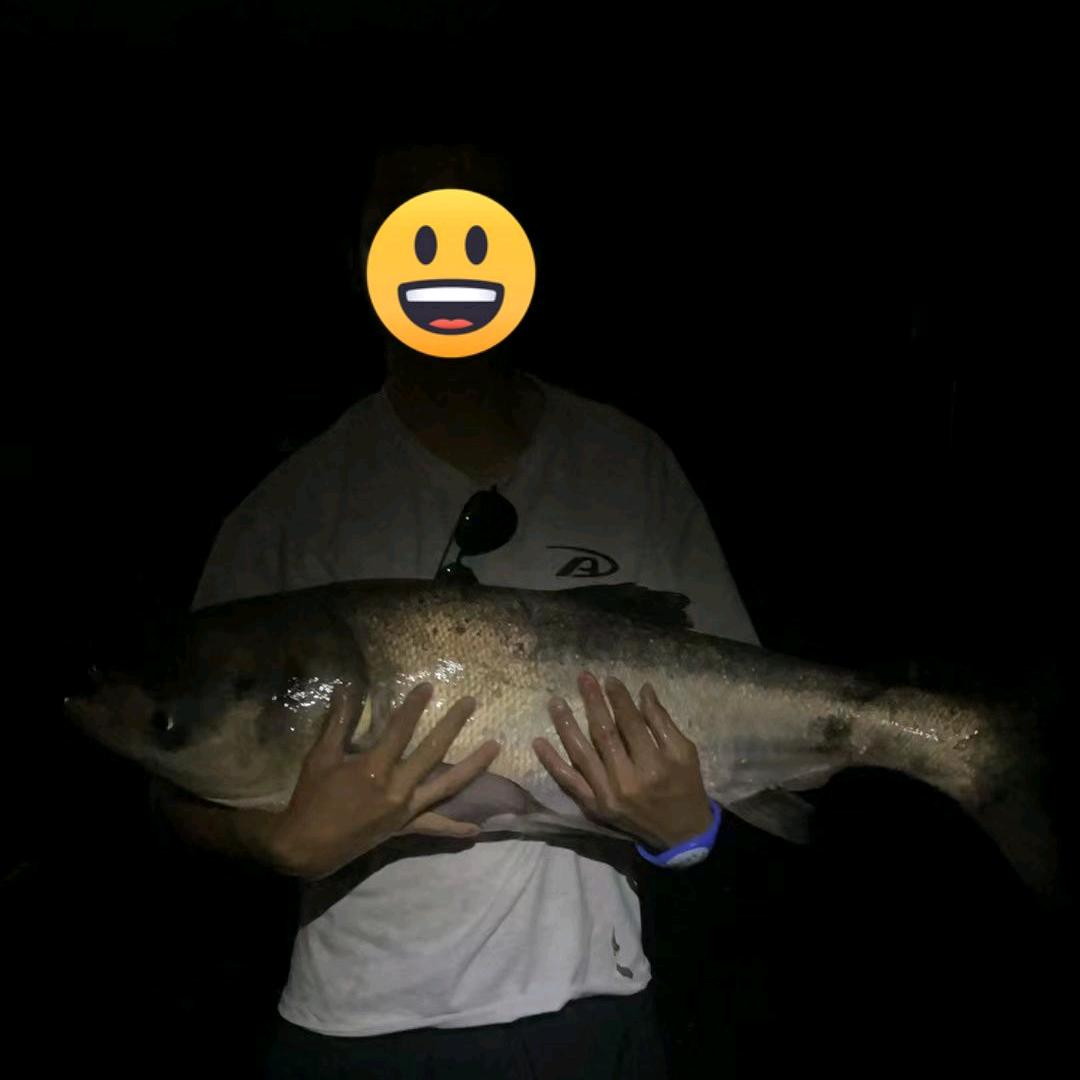 小伍钓鲢鳙🎣
