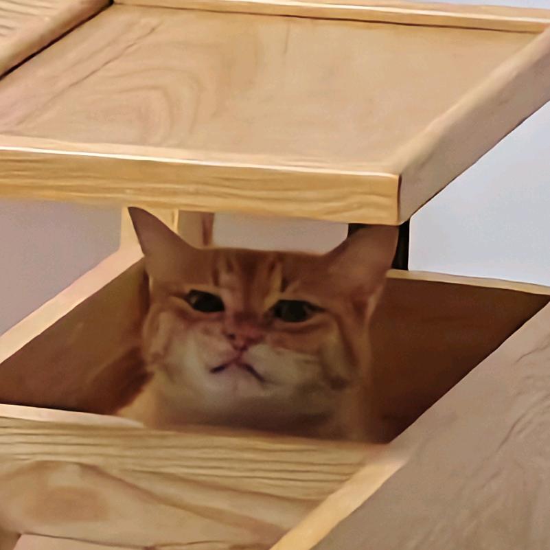 野生水生生物捕食习惯研究员