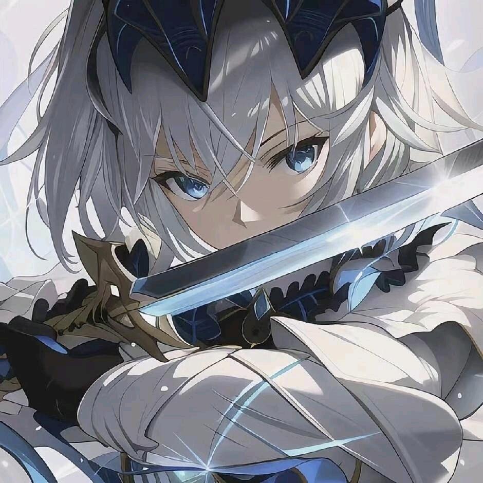 王者荣耀灰猫(冰盾流阿轲)