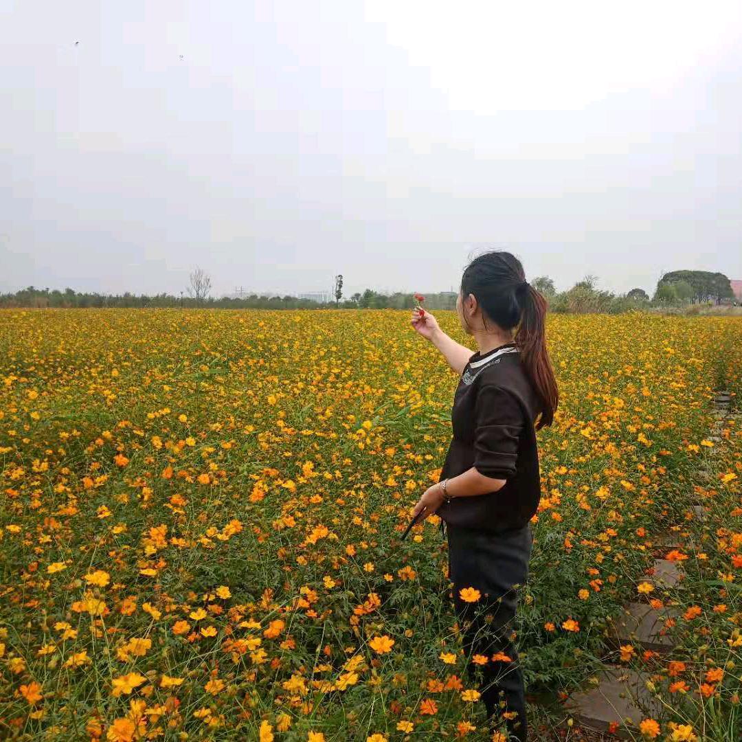 日行八百里