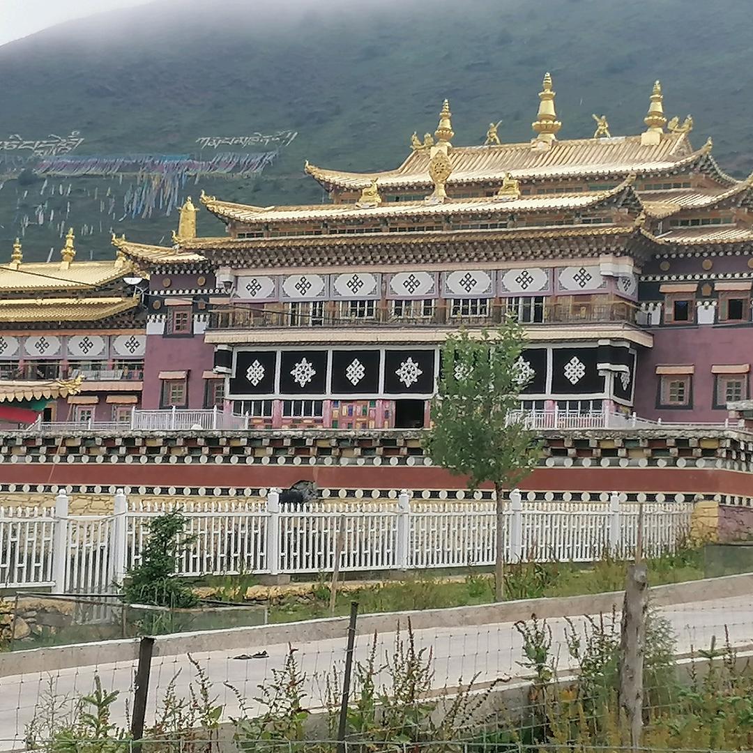 赠人玫瑰手有余香