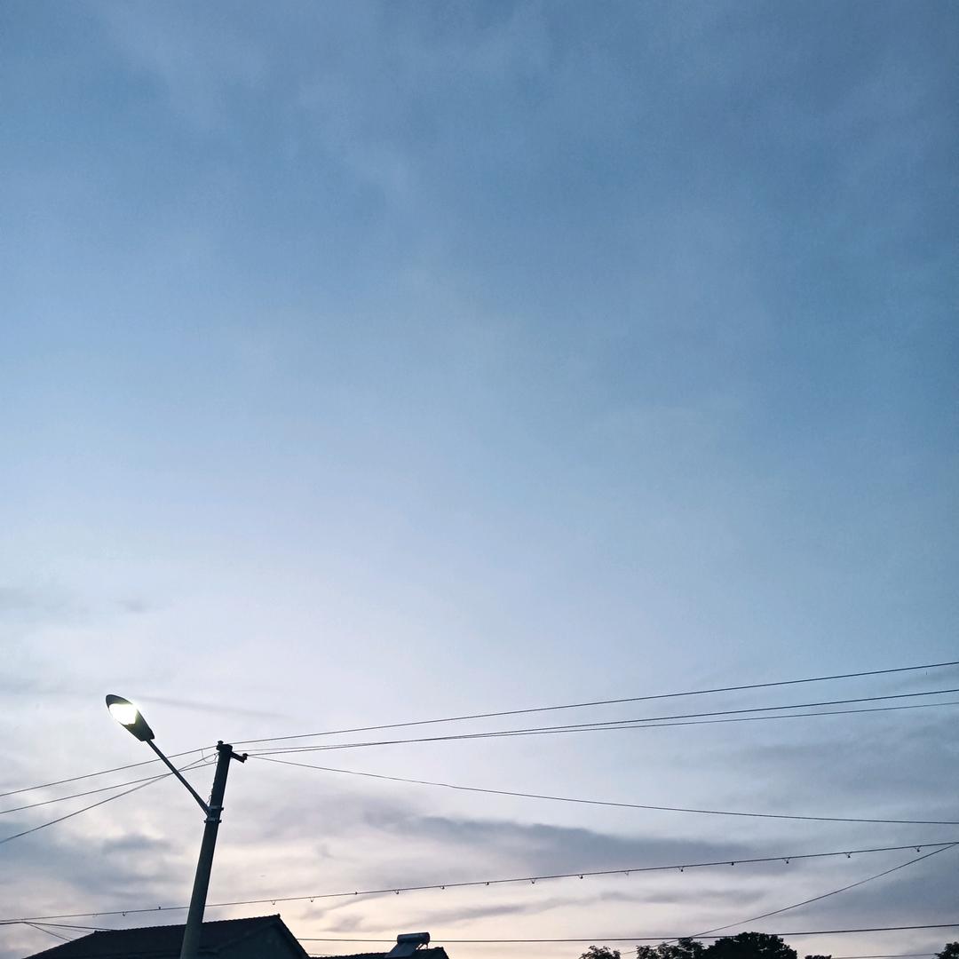 风中微尘