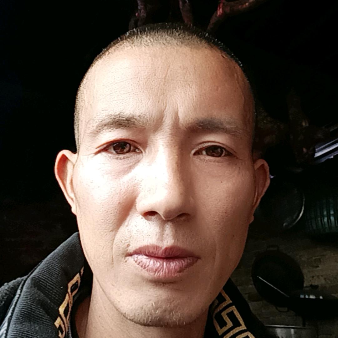 贵州土猎虫狗爱好者