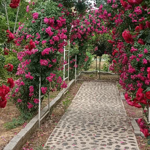 💝💞༊⚡☀咪💫眯✨🌤࿐💕💝