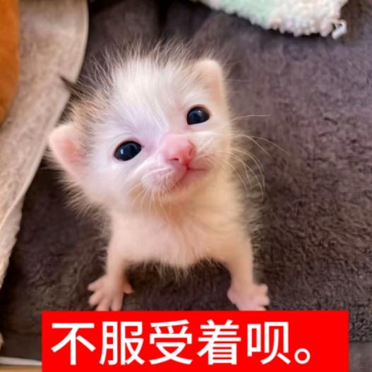 闪亮大屁股