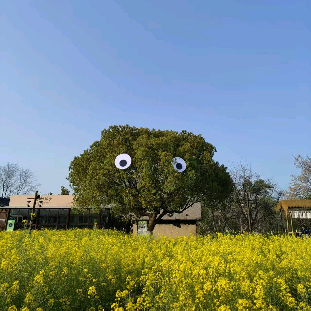 梦幻