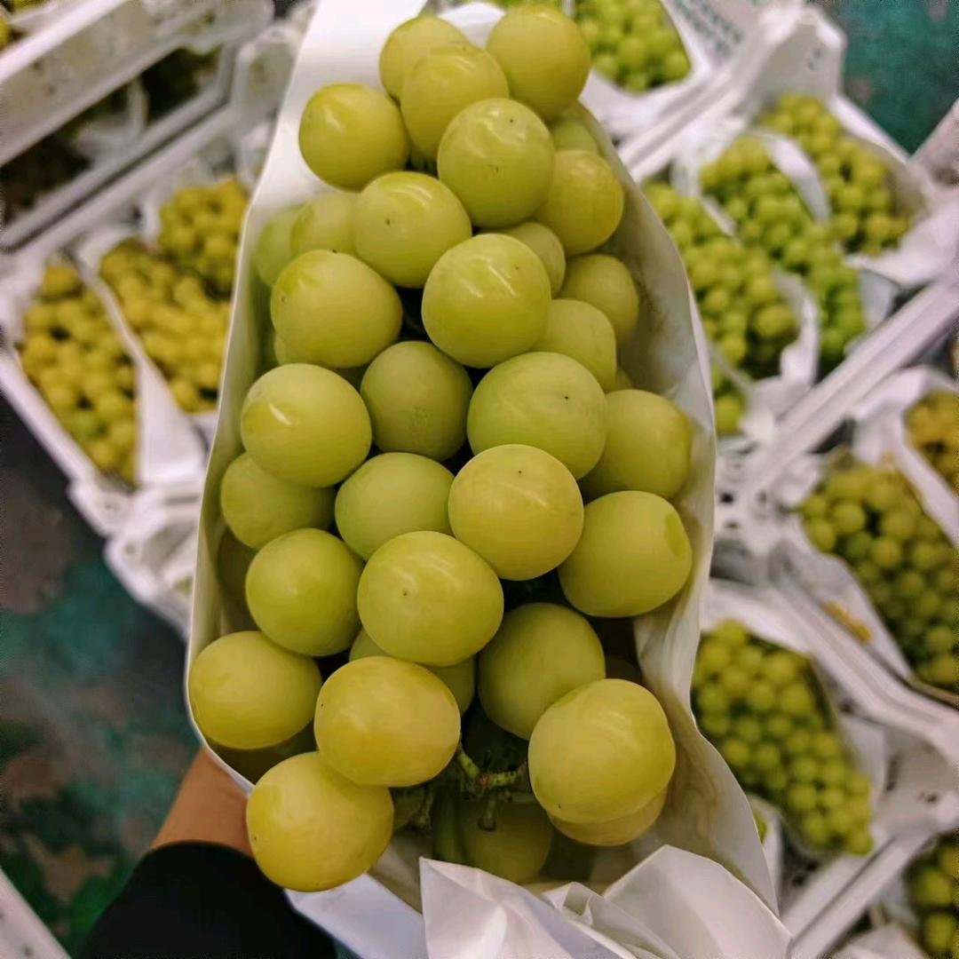 绑绑绑水果店全国总仓