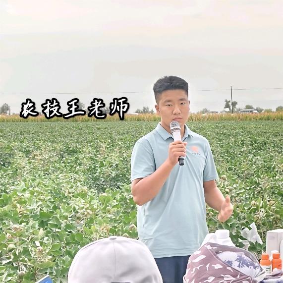 国光棉花王老师-四川国光