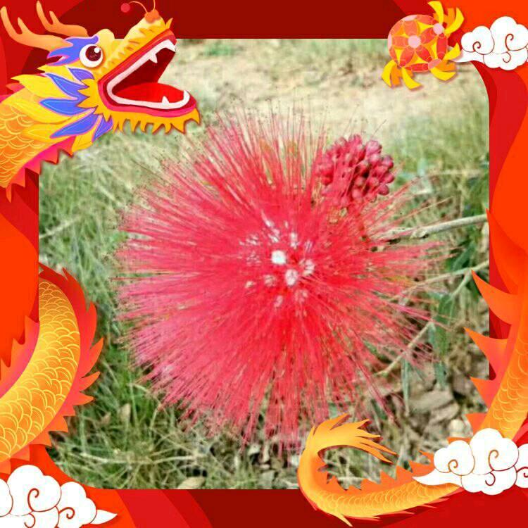 一এ🍒᭄༊路💞有ღꦿ💞᪲你🦋