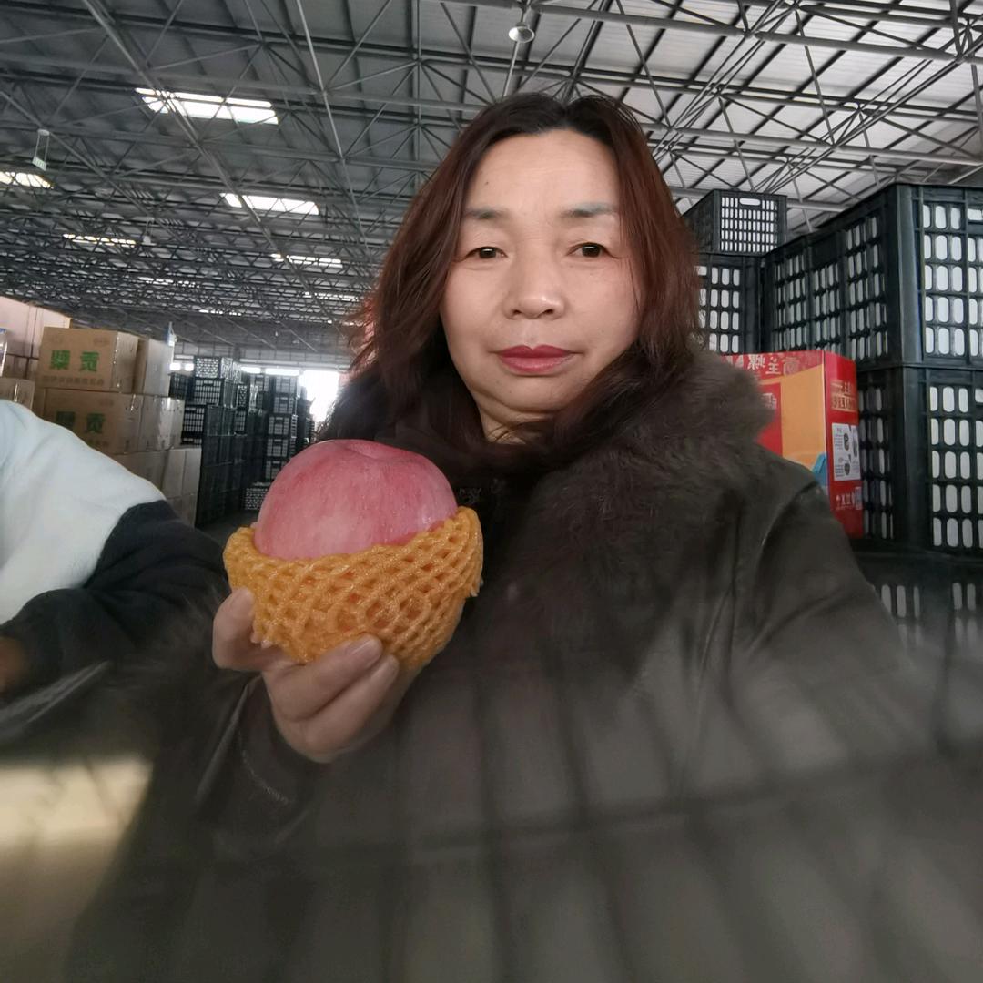 柳州海吉星B1_33号洛川苹果批发部