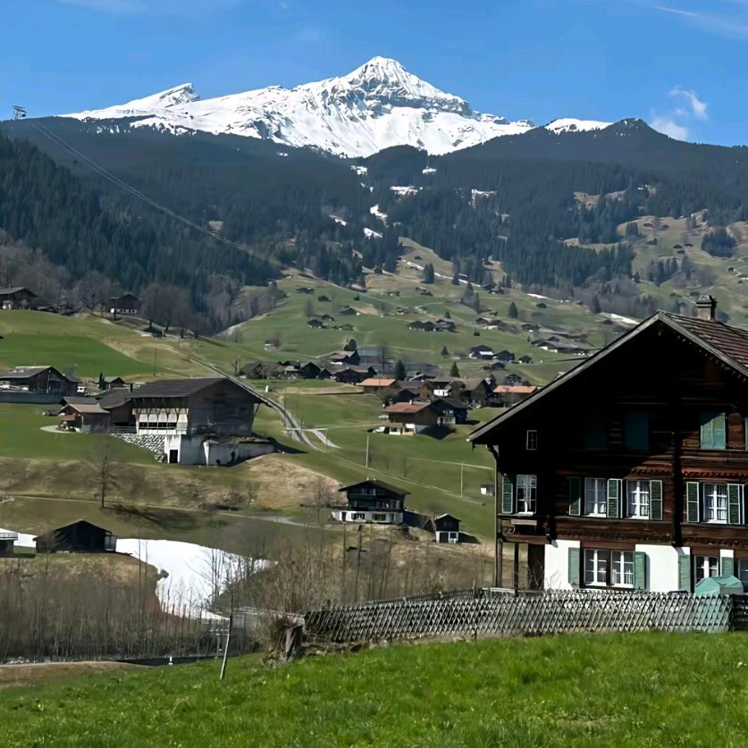 魏老板私服甄选