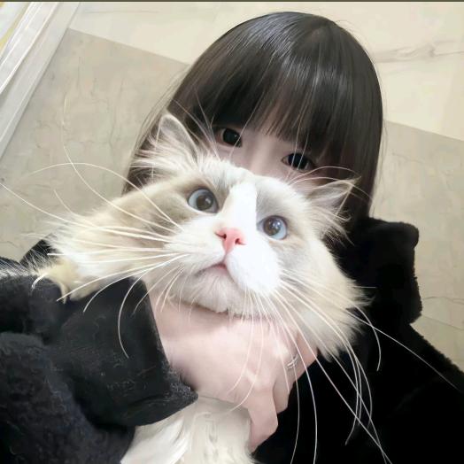小太阳