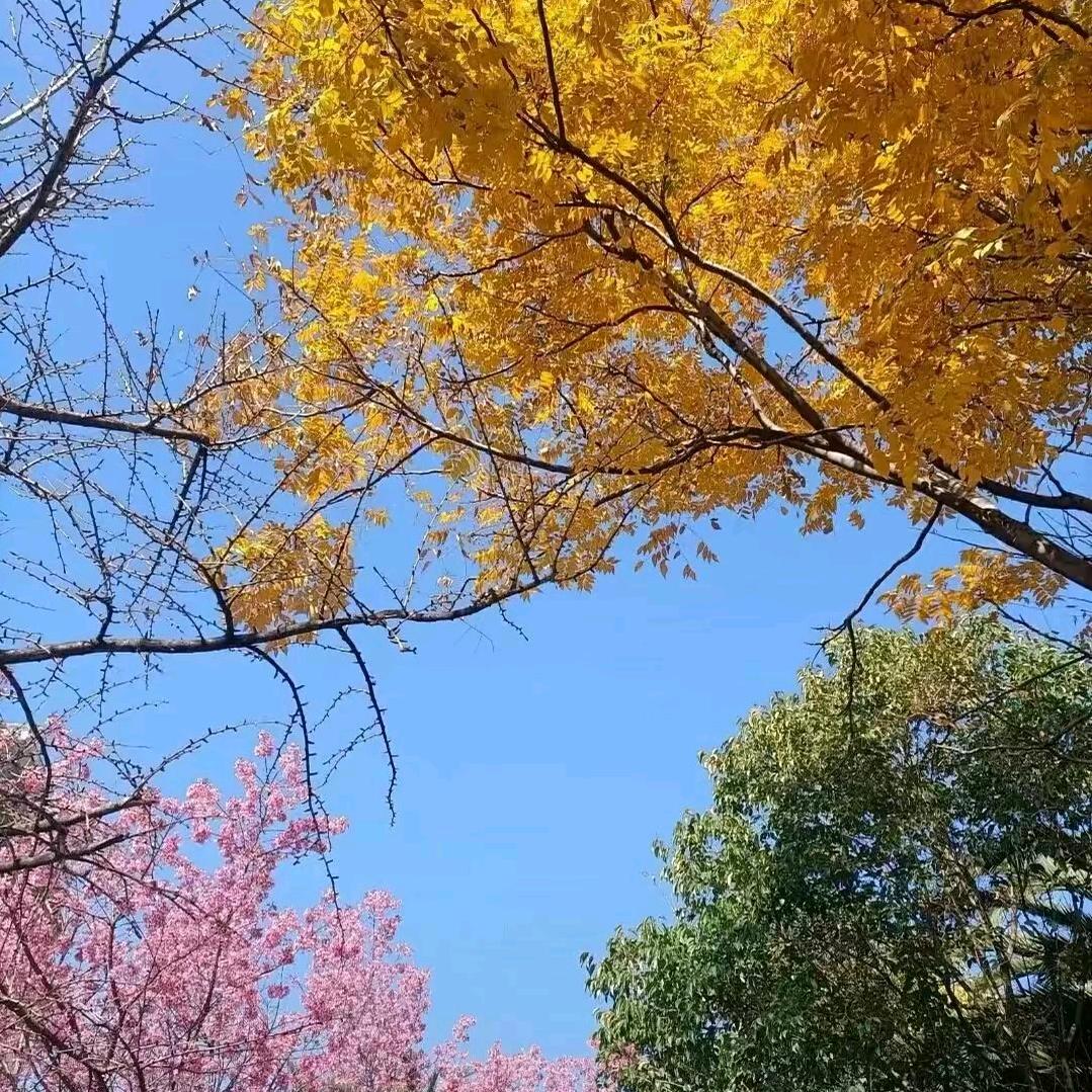 娟娟的小铺