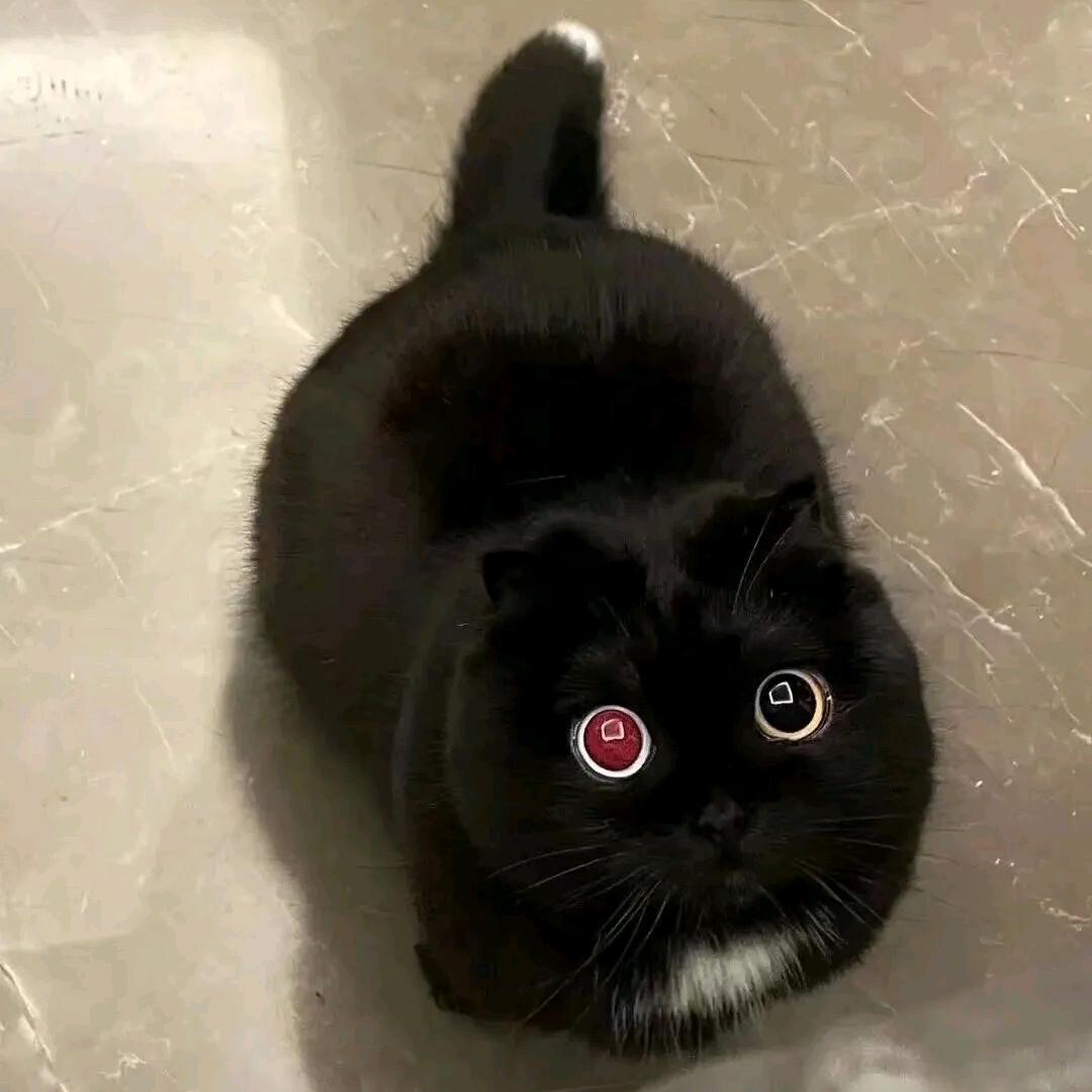 抑郁的黏人精💭