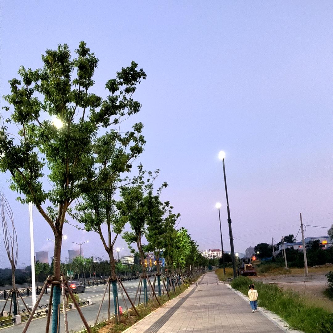 翟欢囍（互关互赞）