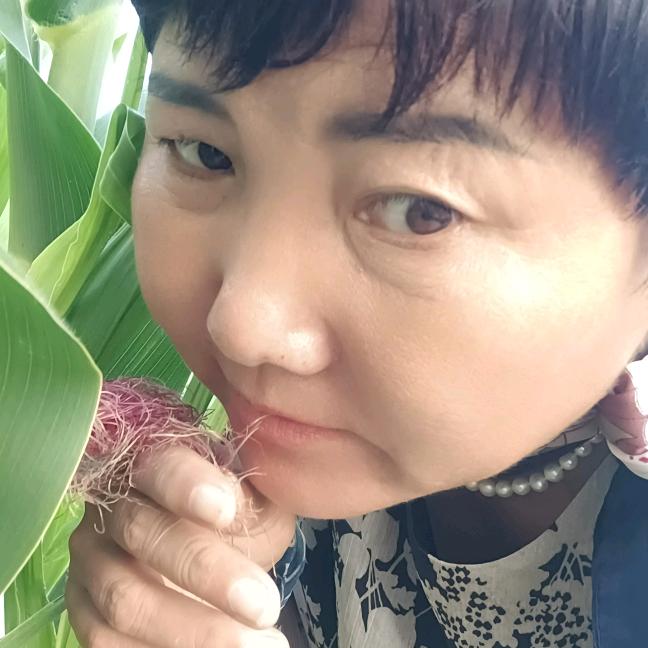 红宝