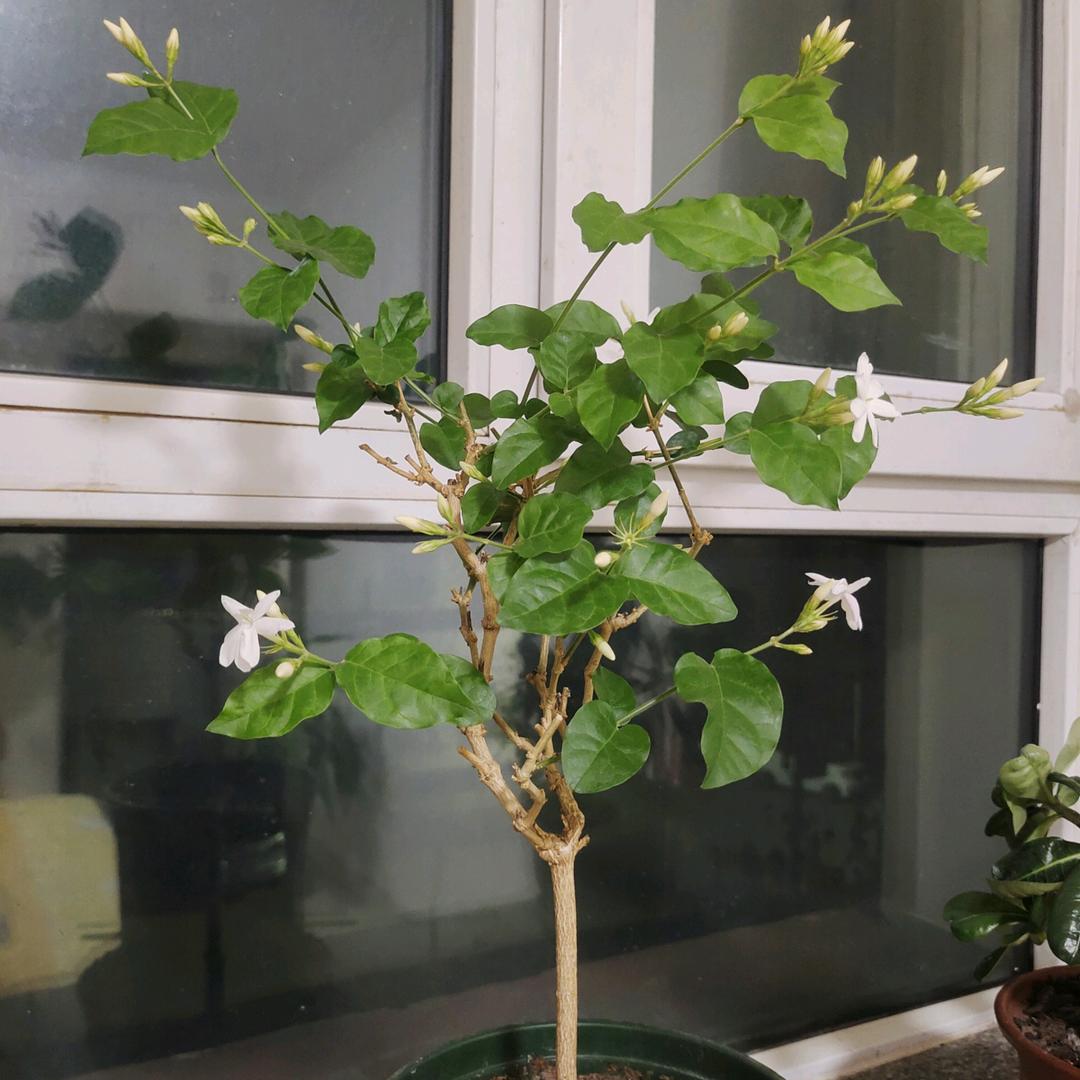 ✨🌜月色天空🌙✨