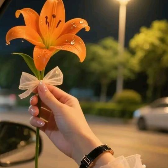 随缘🌹