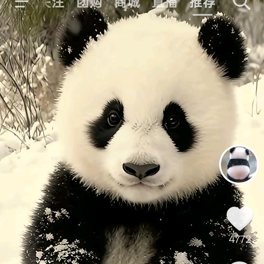 ☘️最熟悉的陌生人🌷