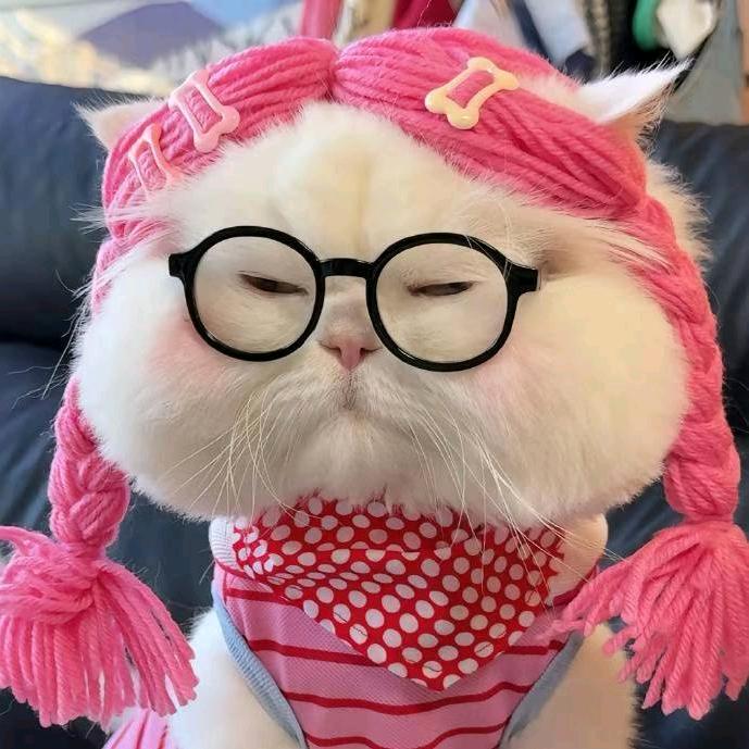 周马一家人
