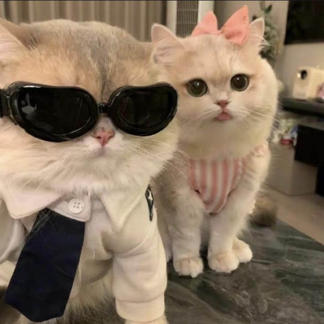 一瞬间.