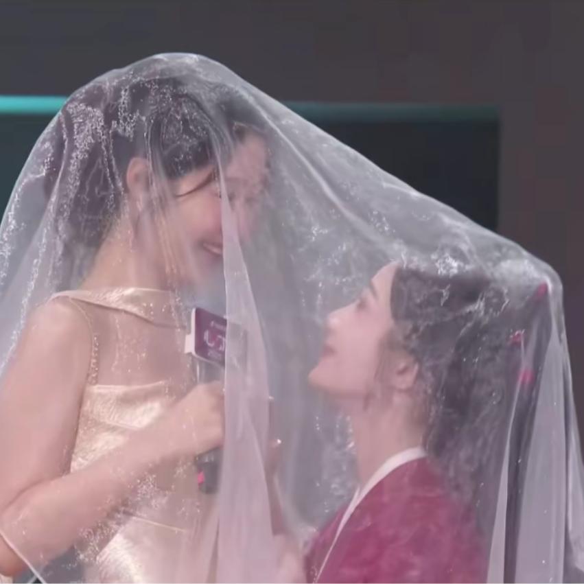 兔子不想说话 🐰