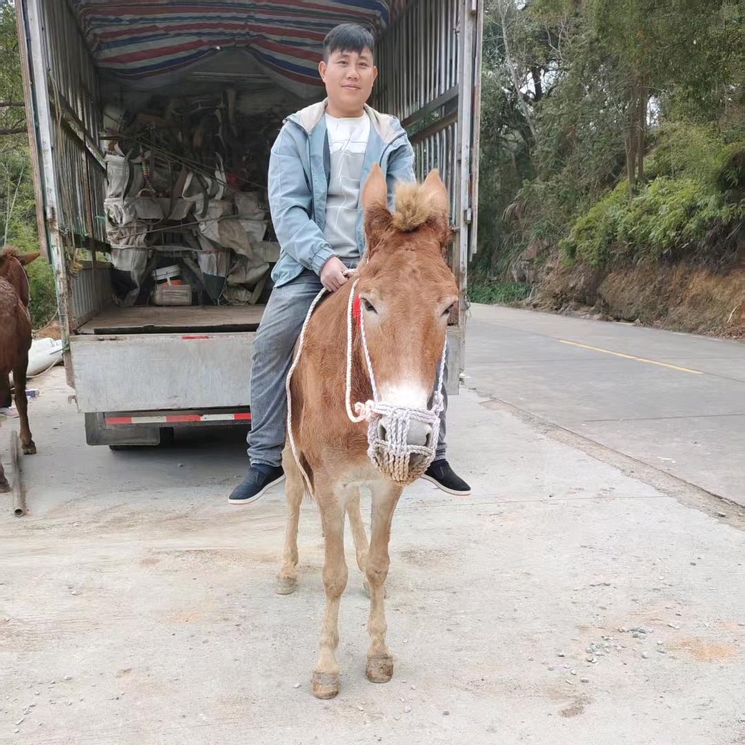小余马队
