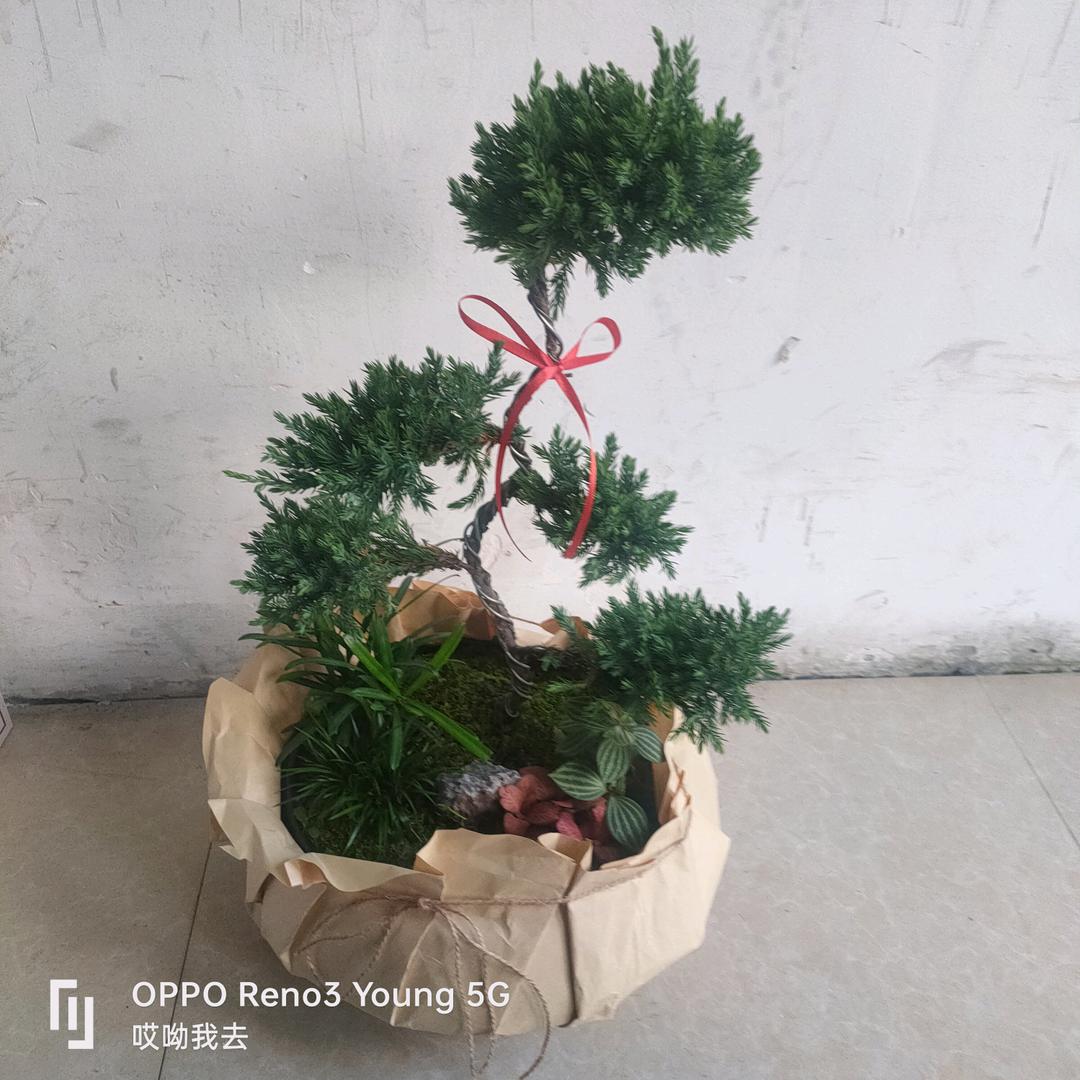 没有什么大不了