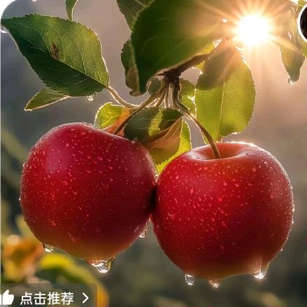 用户3793145327458