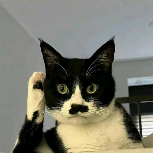 戒了烟…