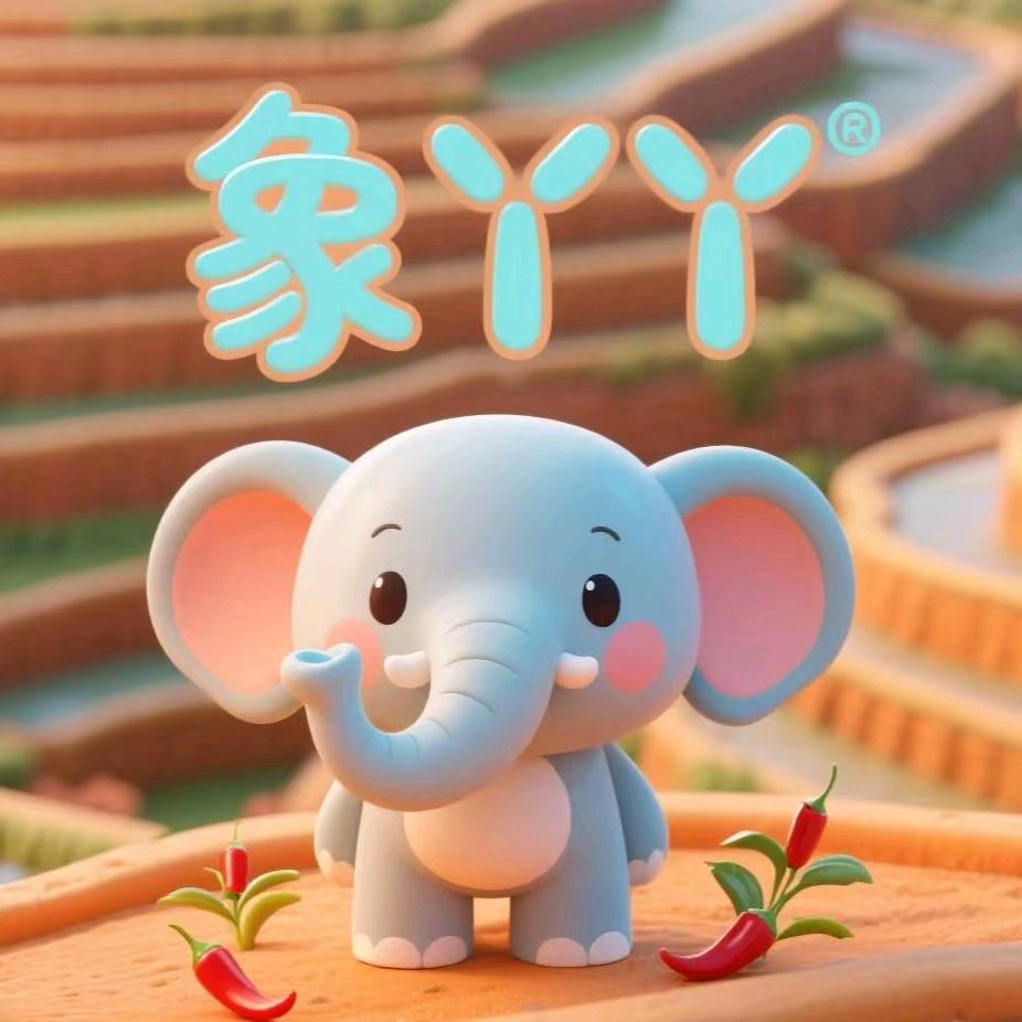 云南象丫丫食品铺子