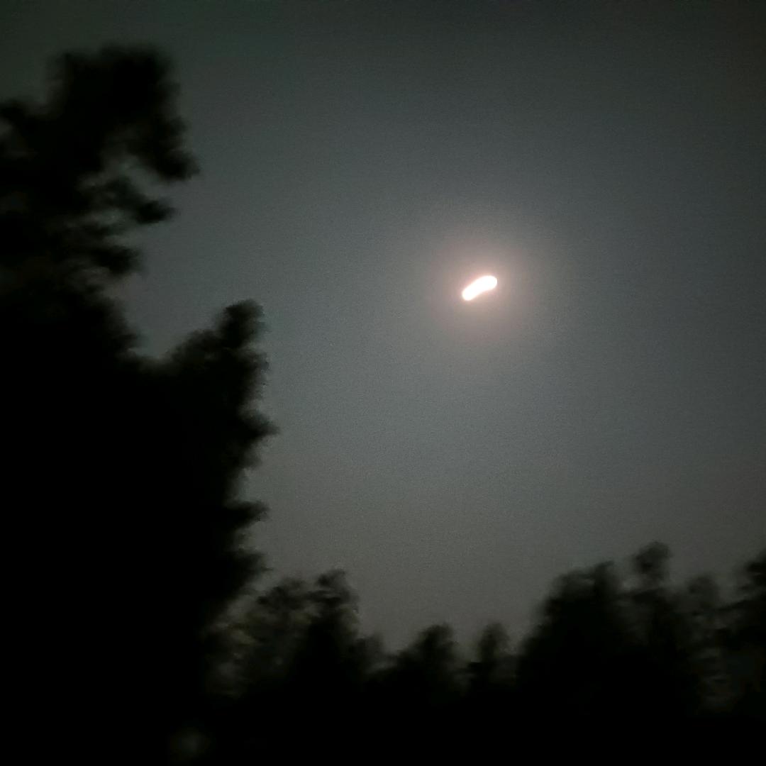 🧞‍♀️🧞‍♀️🧚🏾‍♀️🧚?