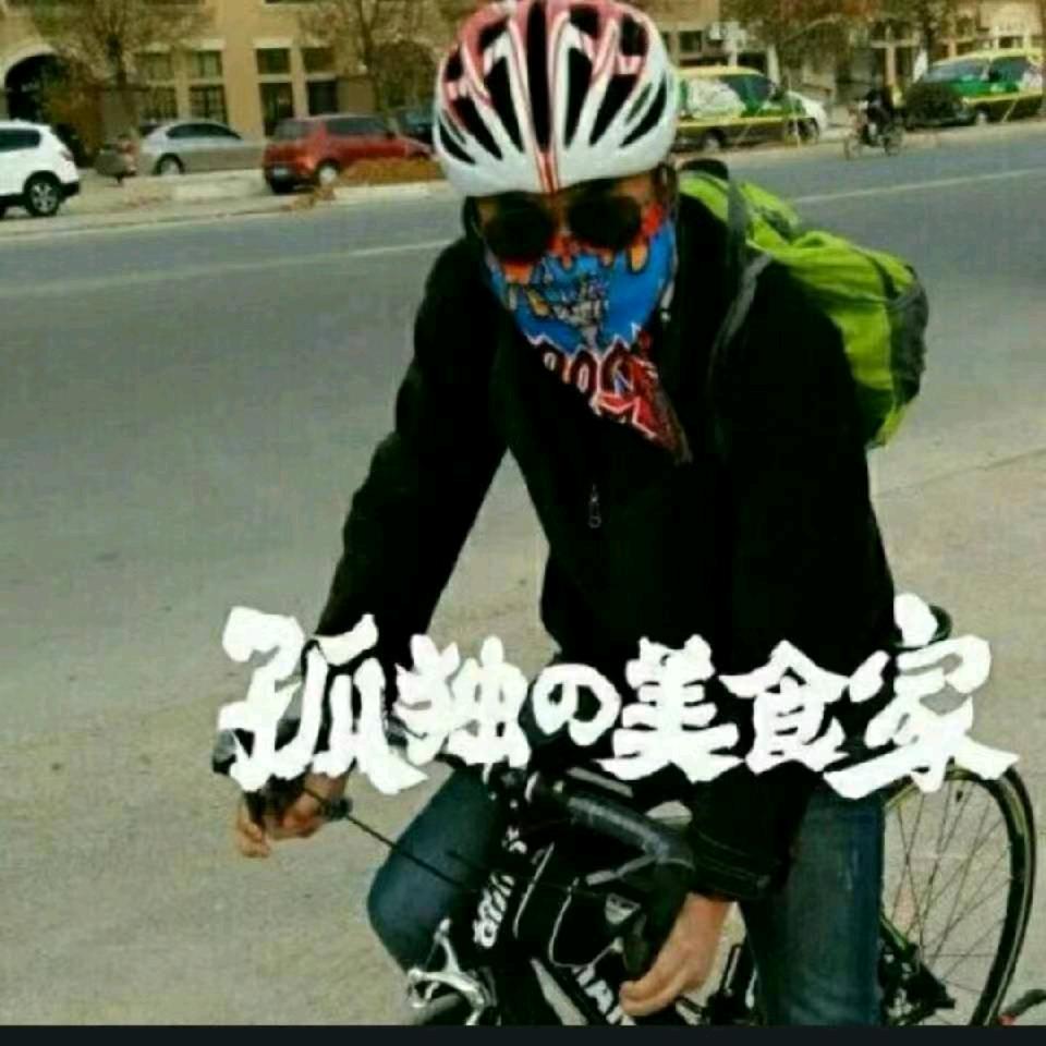 九洲龙臭氧