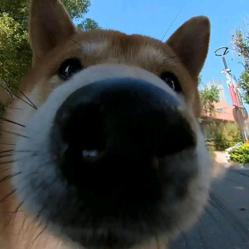 浅尝人间二两酒